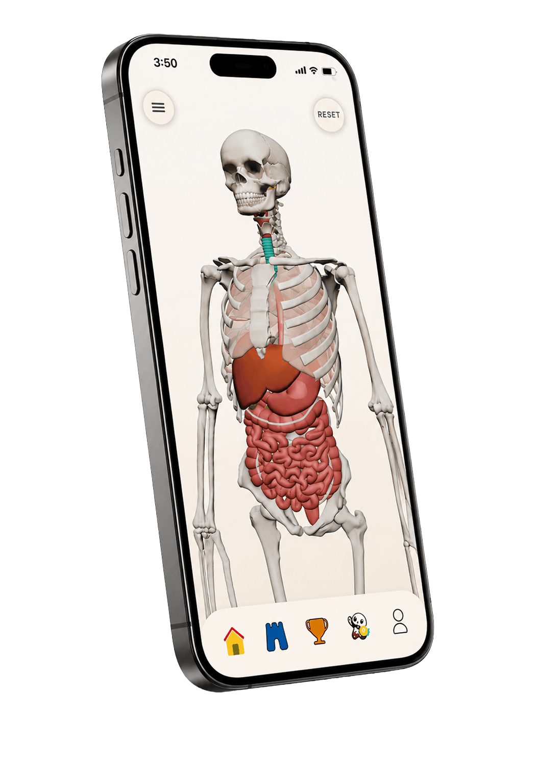 Anato 3D anatomy app cover